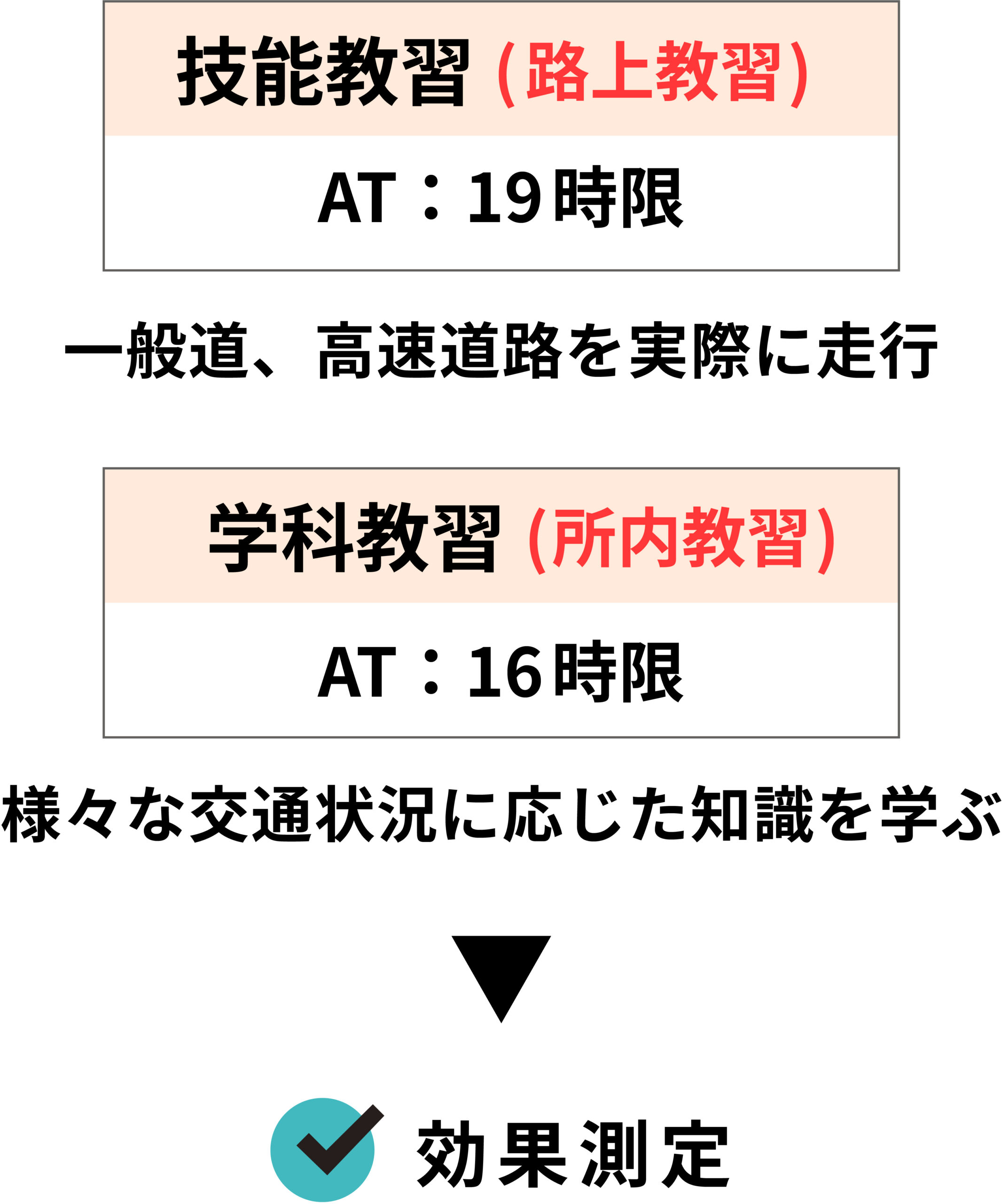 技能教習(路上教習) AT19時限 学科教習(所内教習) ATと16時限一般道、高速道路を実際に走行 様々な交通状況に応じた知識を学ぶ 効果測定
